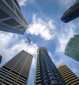 城市6